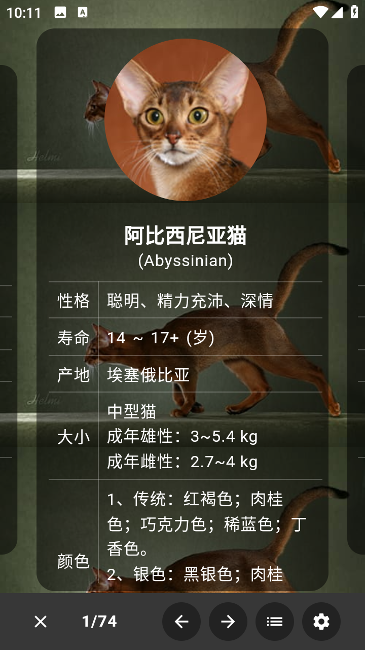 猫品种大全app(猫咪品种识别)手机版