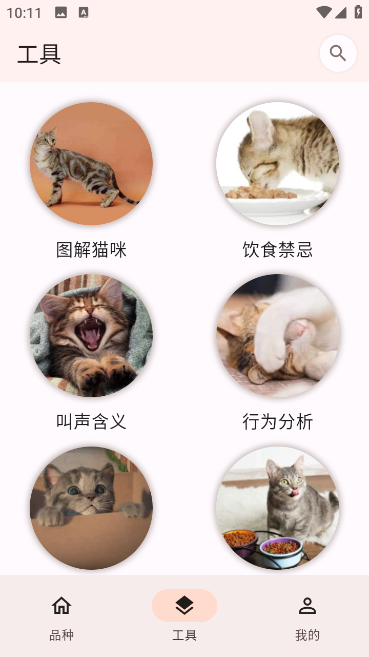 猫品种大全app(猫咪品种识别)手机版